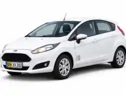 Ford Fiesta - BEMÆRK PAPEGØJEPLADER