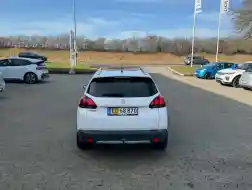 Peugeot 2008 Van - BEMÆRK guleplader
