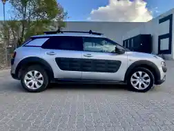 Citroen Cactus C4 van / tagbøjler